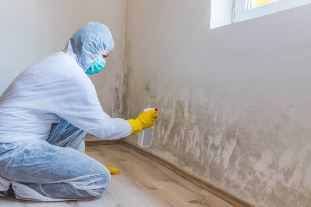 Mold Remediation specialist working in Wilson's Mills